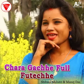 Chara Gachhe Full Futechhe by Manoj Das