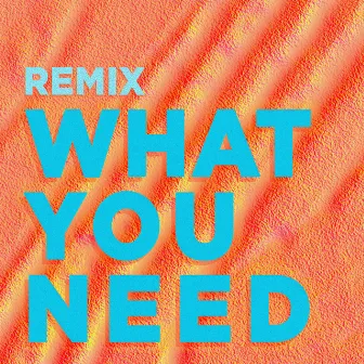 What You Need (Marc Brauner Remix) by Marina Trench