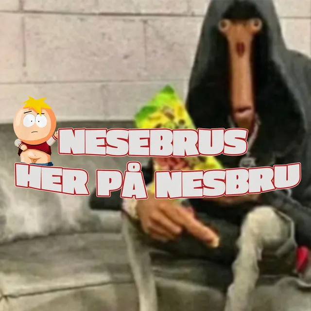 Nesebrus Her På Nesbru