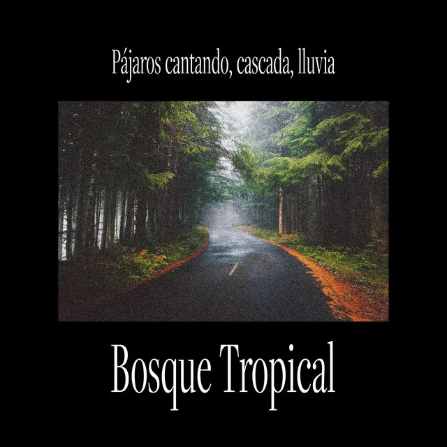 Bosque Tropical