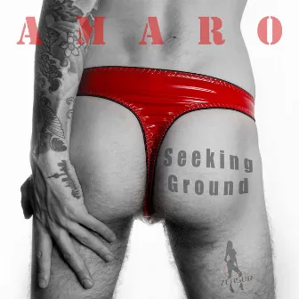 Seeking Ground by Amaro