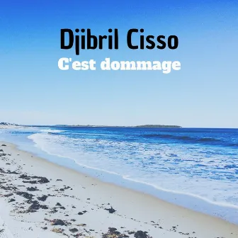 C'est dommage by Cisso