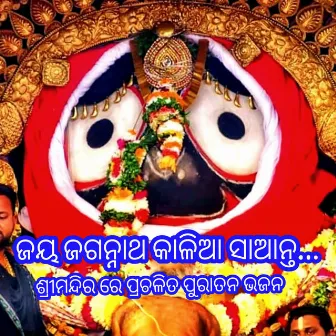 Jay Jagannath Kalia Santa by 