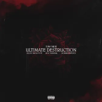 Ultimate Destruction by Micky Molotov