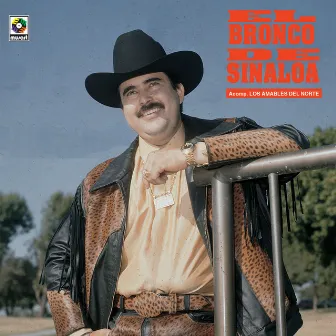 El Bronco De Sinaloa by El Bronco De Sinaloa