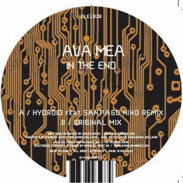 In The End - Hydroid Feat. Santiago Nino Remix