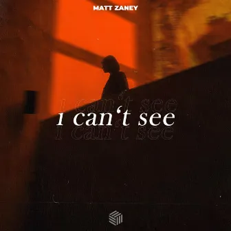 I Can't See by Matt Zaney