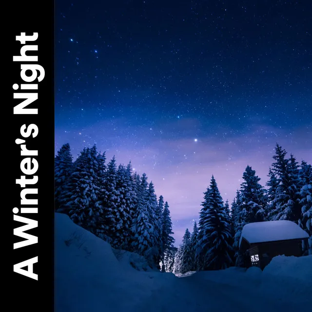 A Winter's Night