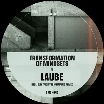 Transformation of Mindsets by Laube