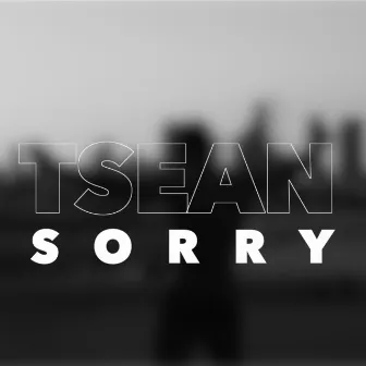 Sorry by Tsean