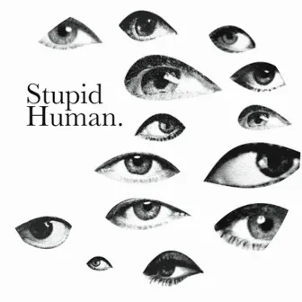 The Complete Cosmic Compendium by Stupid Human