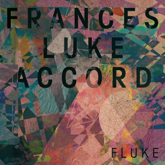 Fluke by Frances Luke Accord