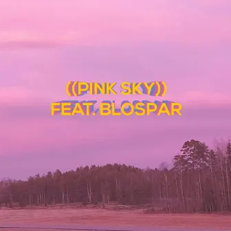 PINK SKY by UNKNOWN Kidd