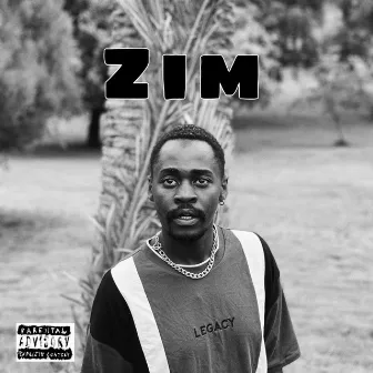 Zim by Kudzanai Munodawafa