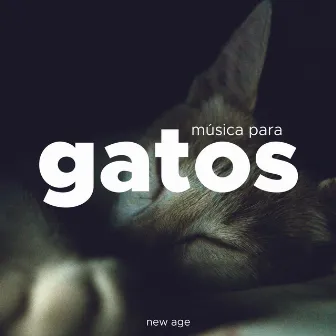 Musica para Gatos para Relajarse y Dormir by New Age Music Maestro