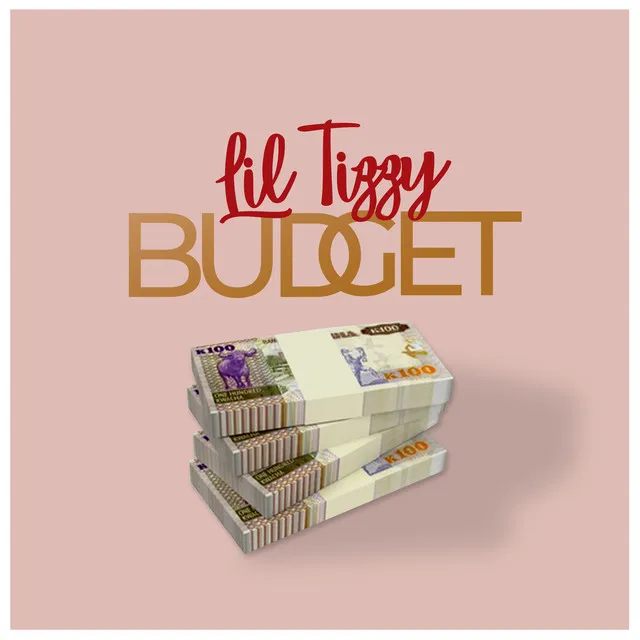 Budget