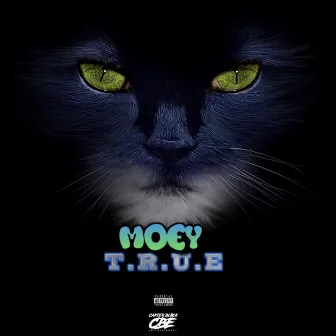 T.R.U.E by Moey