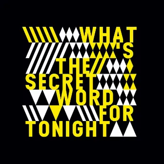 What's The Secret Word For Tonight by Joe Metzenmacher