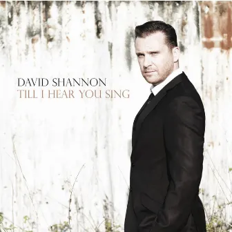 Till I Hear You Sing by David Shannon