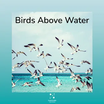 Set the surroundings by Birds Above Water