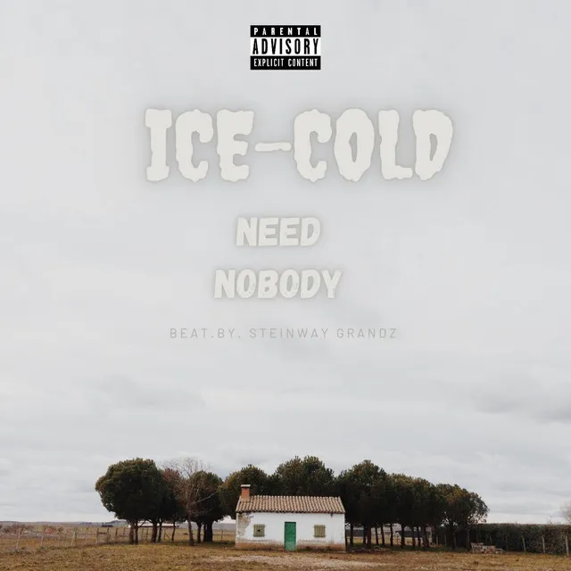 Need Nobody