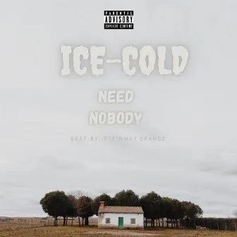 Need Nobody by Ice-Cold