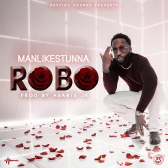 Robo by ManLikeStunna