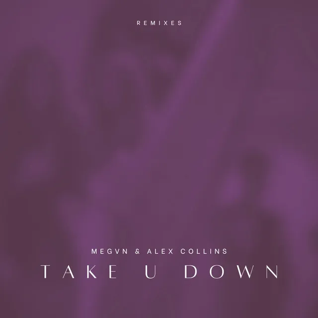 Take U Down - Slowed + Reverb