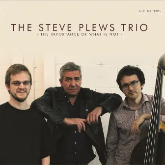 The Importance of What Is Not by Steve Plews Trio