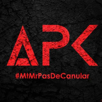 Mr. pas 2 canular by MT