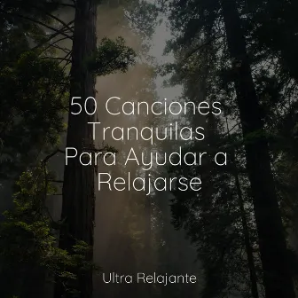 50 Canciones Tranquilas Para Ayudar a Relajarse by Meditacion Budista Maestros