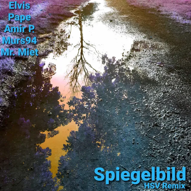 Spiegelbild - HSV-Remix