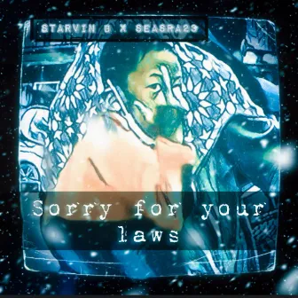 SORRY FOR YOUR LAWS by Starvin B