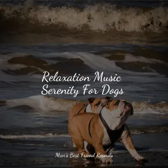 Relaxation Music Serenity For Dogs by 