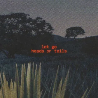 Let Go by Heads or Tails