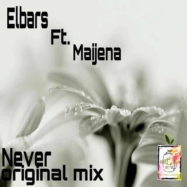 Never - Original Mix