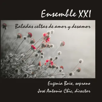 Baladas Celtas De Amor Y Desamor by Eugenia Boix