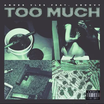 Too Much by Groovy.I