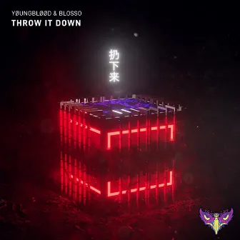 Throw It Down by Yøungbløød