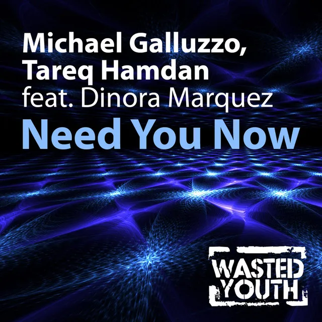 Need You Now (feat. Dinora Marquez) (Dache & Shaw Mix)