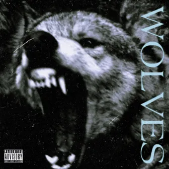 Wolves by Ace