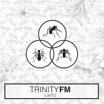 Antz by Trinity FM