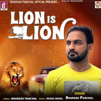 Lion Is Lion by Bhargav Panchal