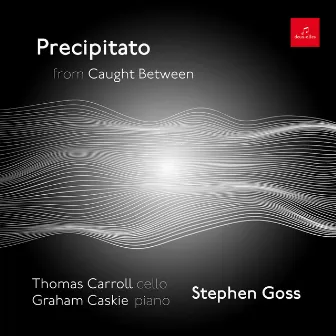 S. Goss: Caught Between: V. Precipitato by Stephen Goss