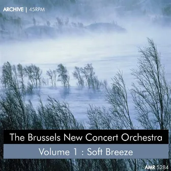 Soft Breeze by The Brussels New Concert Orchestra