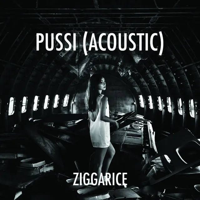 Pussi (Acoustic Version)