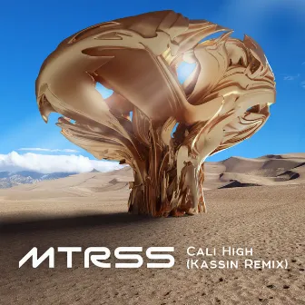 Cali High (Kassin Remix) by MTRSS