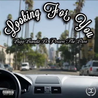 Looking for You by Bigg Bandit