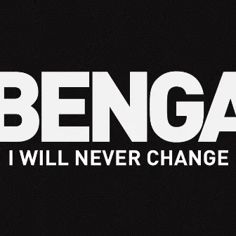 I Will Never Change (2012) by Benga