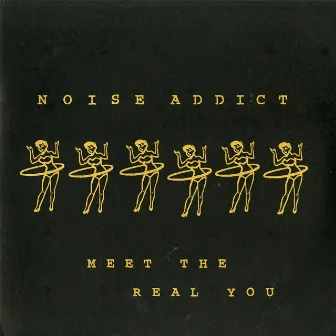 Meet the Real You by Noise Addict